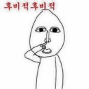 해리포터 한번도 안본 인간의 모허절벽 후기(와 골웨이 여행이라기엔 버스만 조낸탄)
