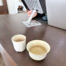 오보에 | [제주] 제주시 편집샵 오보에 내돈내산 구매 후기 / 제주공항근처 소품샵 / 탐나는전가능