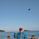 동해안 양양, 화진포, 속초 이미지