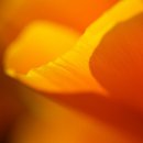 대지한의원 이미지