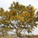 금사초등학교 이미지