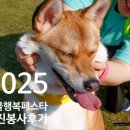 서울동물 | 🐶🐾 서울시 동물행복페스타 #사진봉사후기