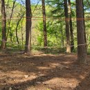 온양제일유치원 이미지