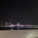 스시 연 이미지