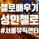 첼로 초급(성인) 이미지