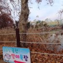 늘봄목장 이미지