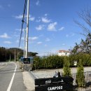 충주 뷰좋은 캠핑장 애견동반 비내섬 리버뷰 캠프 202 전사이트뷰