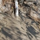 어곡카센터 이미지