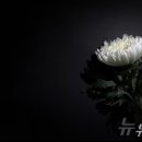 성철스포츠