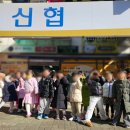 하담어린이집 이미지