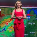 CW-1183-01 이미지