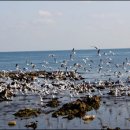 신새벽축산 이미지