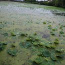 능제근린공원 이미지