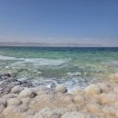 먹고가자싸고가자 | 미지의나라 요르단을 가자(요르단 여행기 1 암만~사해~페트라)