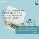 최동물병원 이미지