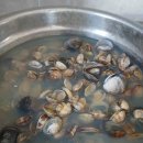 갯벌이야기펜션 이미지