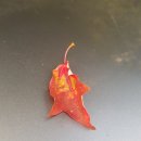 남촌도림동-15 이미지