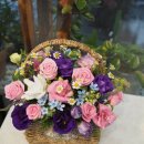 핑크랑보라 이미지