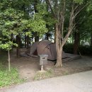 숲속 감성 제대로였던 첨단 시민의숲 야영장 51번 사이트 후기