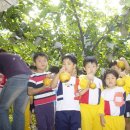 말미농장 이미지