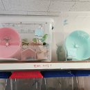 햄스터 라운지 이미지