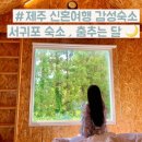 춤추는달 이미지