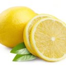 레몬필라테스 이미지