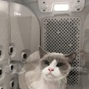 함께냥 성남점 이미지