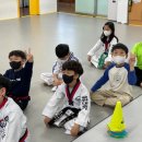 용인대 슬기태권도장 이미지