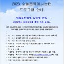 창의보드게임 이미지