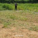 해드림농장 네이버블로그