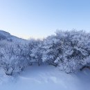 노고단-17 이미지