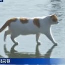 아이쿠 이미지