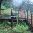 7월15일(일) 개운산 숲길 & 홍릉수목원 산책 벙개 이미지