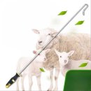 강철농장 이미지