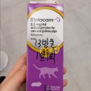 24시퍼스트동물의료센터 이미지