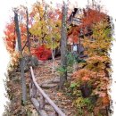 웰빙나라 이미지