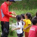 가학산 휴양림 이미지