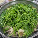 백반기행 해물칼국수(맛의 스카이캐슬 이태란의 홍성밥상)