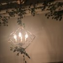 카페일로 이미지