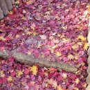 문화공원 북측 화장실 이미지