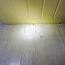 성충문구 | 겨울 바퀴벌레 퇴치 잘하는 업체 고르는 방법은?