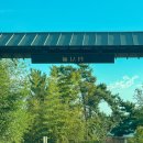 무이림5 이미지