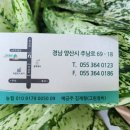 그린1급종합검사정비 이미지