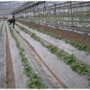 백제농장 이미지