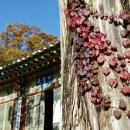 보덕사길 이미지