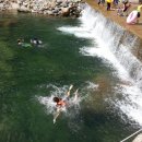 예치민박 이미지