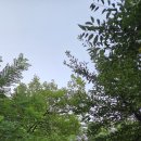 범어근린공원 이미지