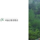 솔향기 가득한 펜션 이미지