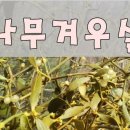 행복한점빵 - 동래구 | 행복한점빵